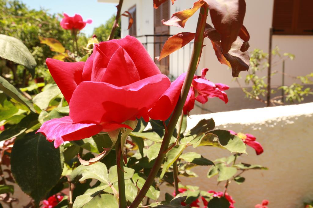 Maistreli Hotel Apartments Stoúpa Dış mekan fotoğraf